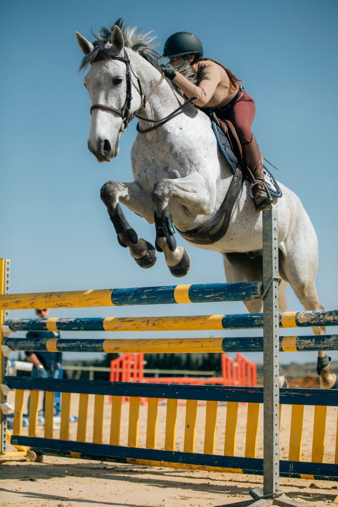 showjumping